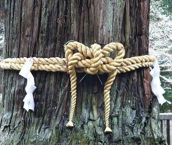 503dd803b489b3725319f594a3f7b2cc