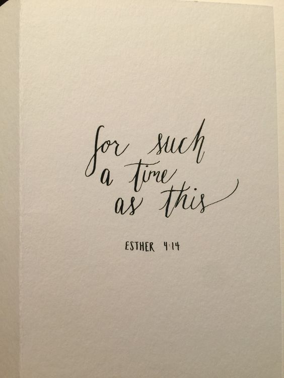 305f7e793f7e1d038d550f0024f1105c